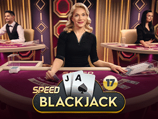 Speed Blackjack 17 game icon